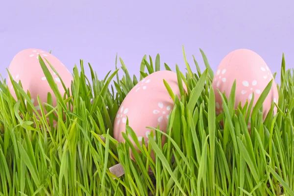 stock image Egg easter in a grass on lila