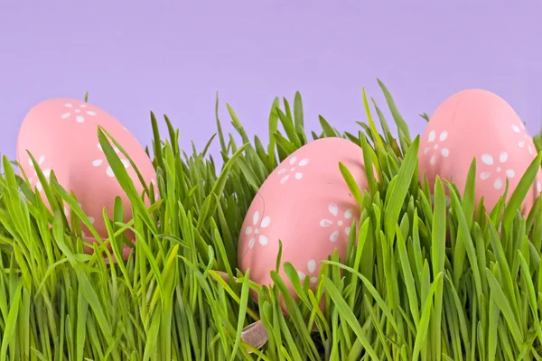 Huevo de Pascua en una hierba en lila —  Fotos de Stock