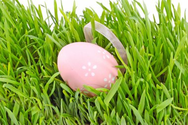 Egg easter in a grass