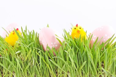 Egg easter in a grass