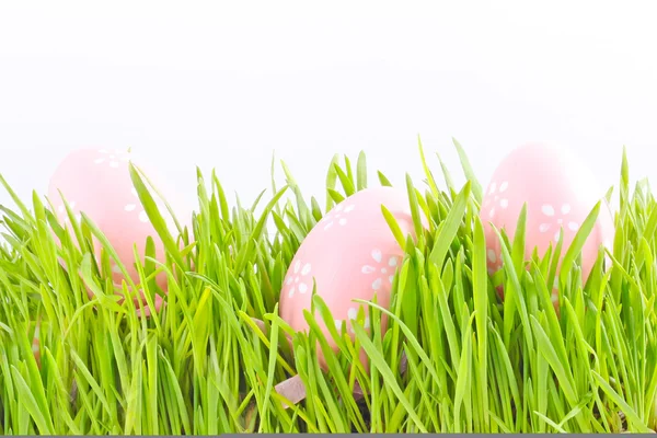 Pasqua di uovo in un'erba — Foto Stock