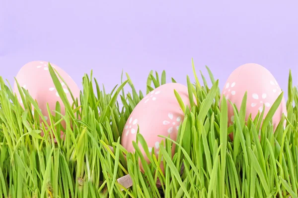 Oeuf de Pâques dans une herbe sur la lila — Photo