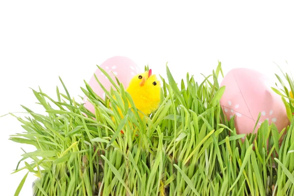 stock image Egg easter in a grass on white