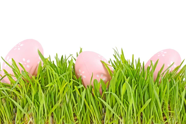 stock image Egg easter in a grass