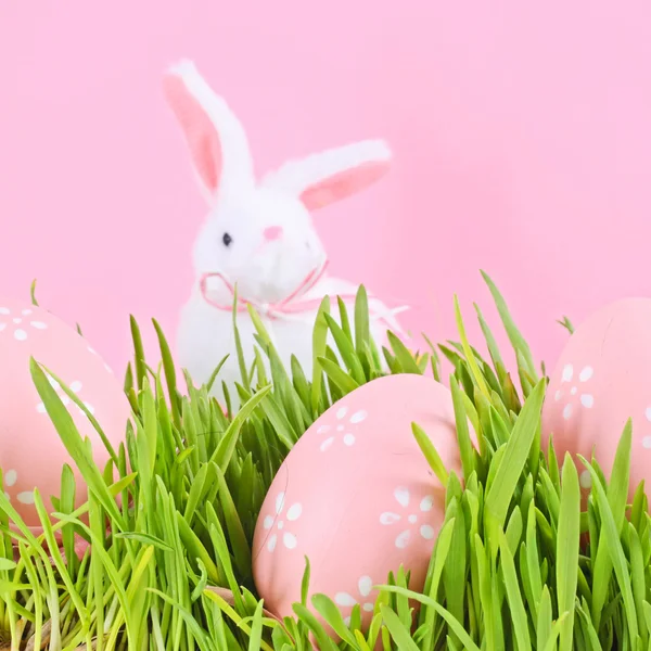Páscoa de ovo em uma grama em lilás — Fotografia de Stock