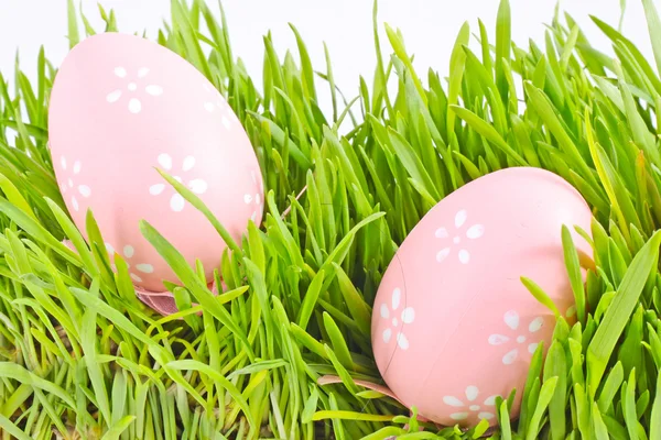 Egg easter in a grass — Stock Photo, Image