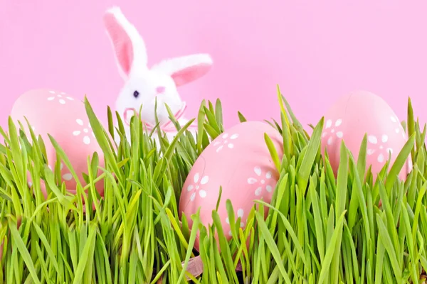 Páscoa de ovo em uma grama em lilás — Fotografia de Stock