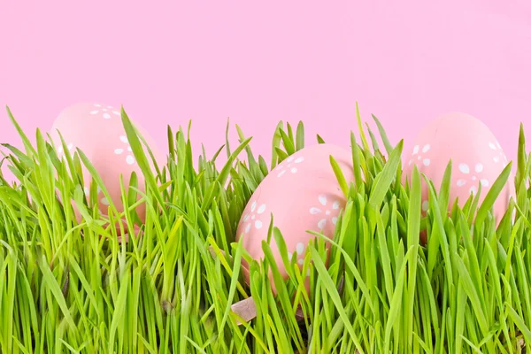 La Pascua del huevo en la hierba sobre blanco —  Fotos de Stock