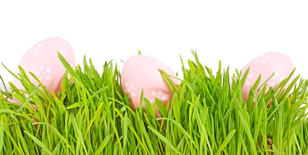 La Pascua del huevo en la hierba sobre blanco —  Fotos de Stock