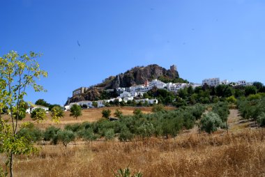 Zahara Hill