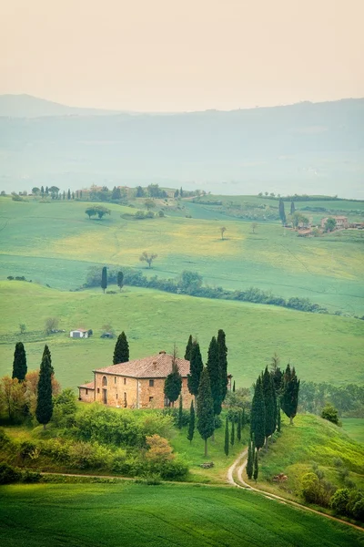 Scénický pohled na typickou toskánskou krajinu — Stock fotografie