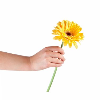 el ile bir çiçek