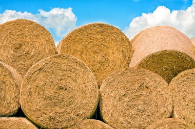 Hay bales stacked in a pile, with blue sky above clipart