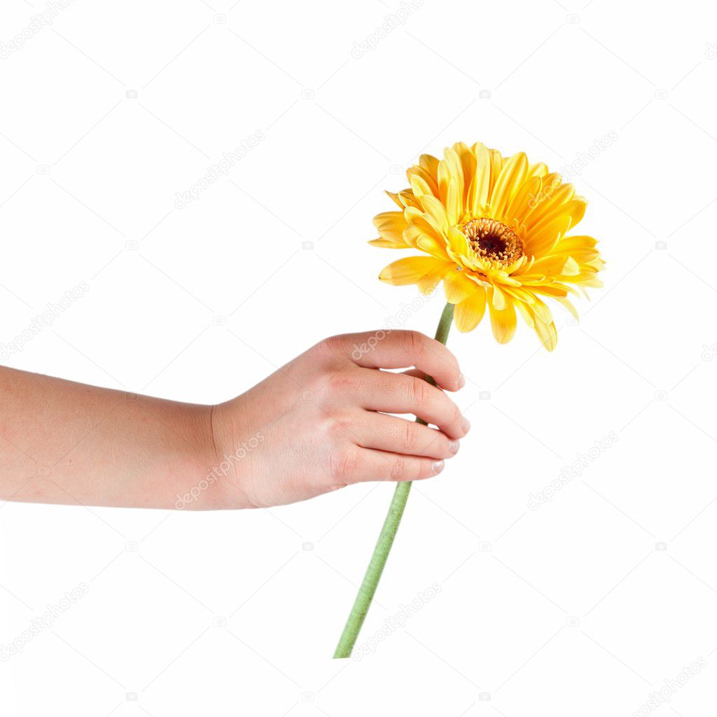 Hand with a flowers