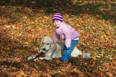 küçük kız köpeğini bir sonbahar Woods ile