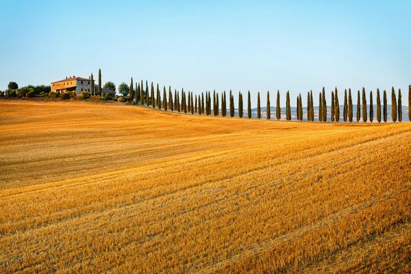 Toskana. die Landschaft der Toskana. Italien — Stockfoto