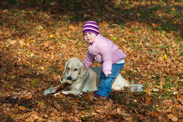 Bambina con il suo cane in un bosco autunnale — Foto Stock