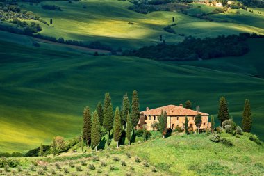 Tuscany landscape - belvedere clipart