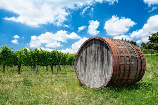 Vino, barril de vino en Toscana — Foto de Stock
