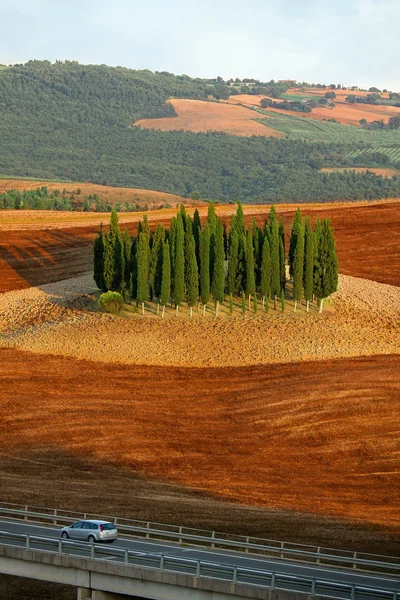 Paisagem da Toscana - cipreste — Fotografia de Stock