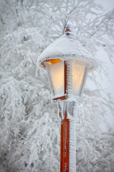 stock image Streetlight on winter