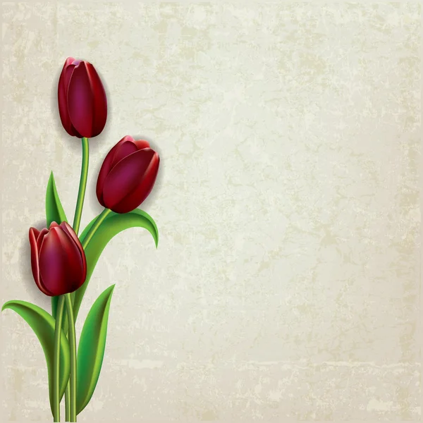 Květinové pozadí abstraktní s tulipány — Stockový vektor