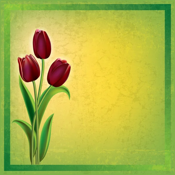 Absztrakt grunge háttér tulipán — Stock Vector