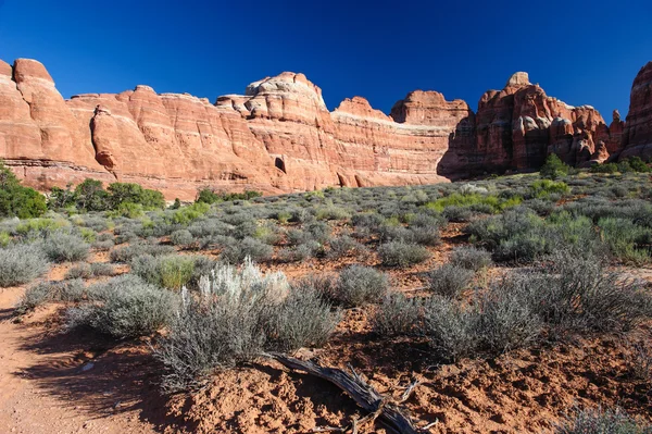 Needles in Canyonlands National Park — Stock Photo, Image