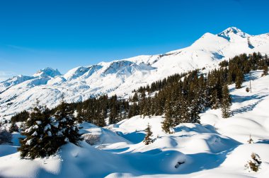grindelwald yukarıda kış panorama
