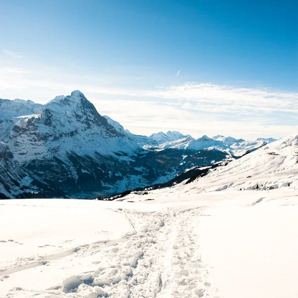 Panoramic scenery above Grindelwald, — Stock Photo, Image