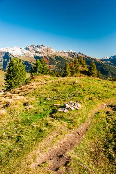 Turistaút vezet a svájci Alpok — Stock Fotó