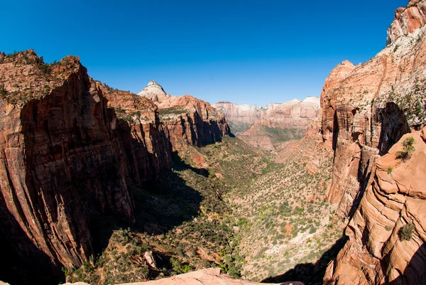 Canyon overlook, Zion national park — Stock Photo, Image