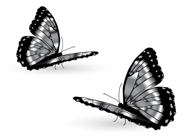Ezüst pillangók — Stock Vector