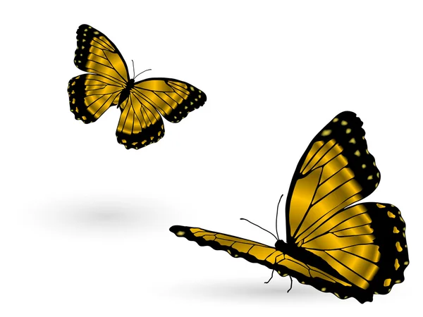 Golden butterflies — Stock Vector