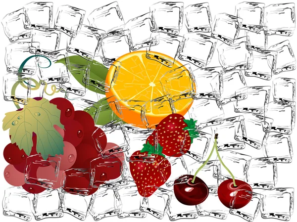 Frozen fruits — Stock Vector