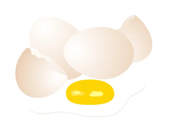 Ongekookt eieren — Stockvector