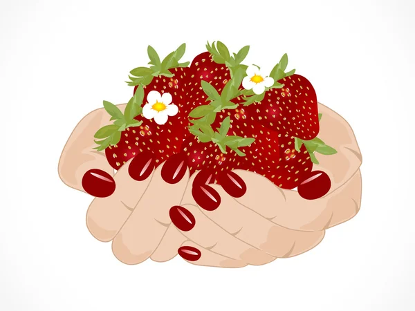 Strawberries in hands — Stock Vector