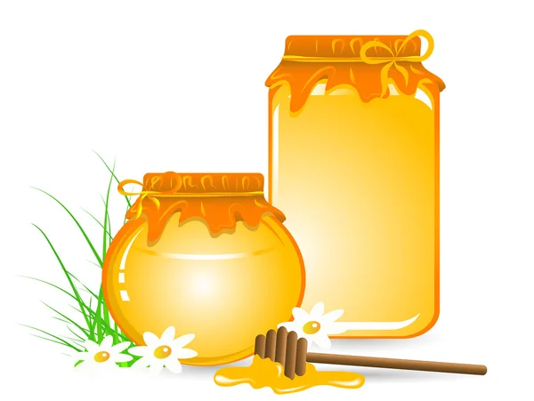 Miele e margherita — Vettoriale Stock