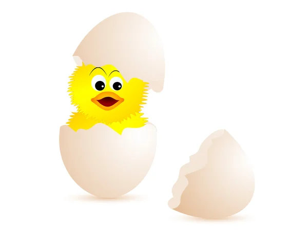 Rozbité vajíčko — Stockový vektor