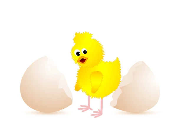 stock vector Chick and egg