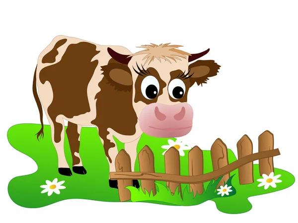 Aranyos tehén — Stock Vector