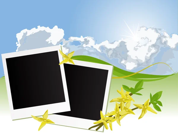 stock vector Blank photo frames