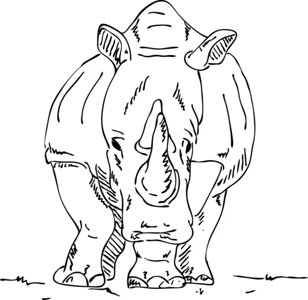 Big rhino — Stock Photo, Image