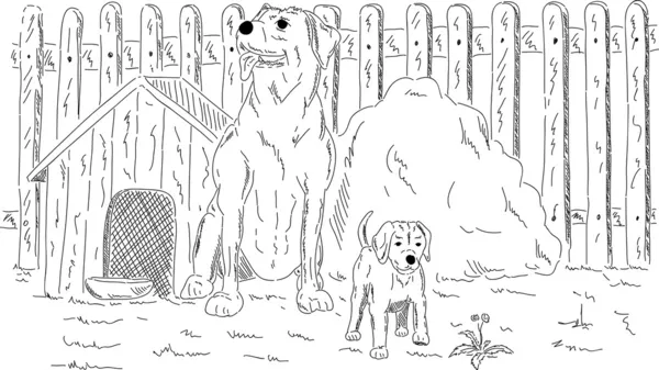 Собаки в саду — стокове фото