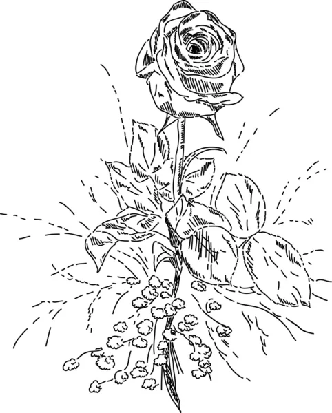 Rose bouquet — Stock Photo, Image