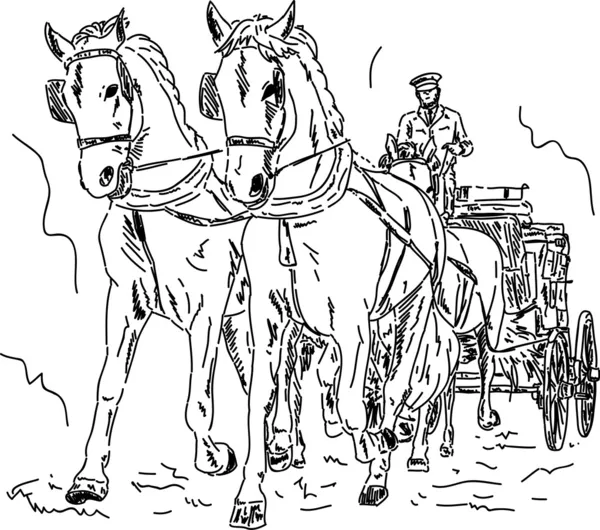 Carruaje de caballo — Foto de Stock