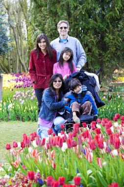 Family with disabled boy in the tulips gardens clipart