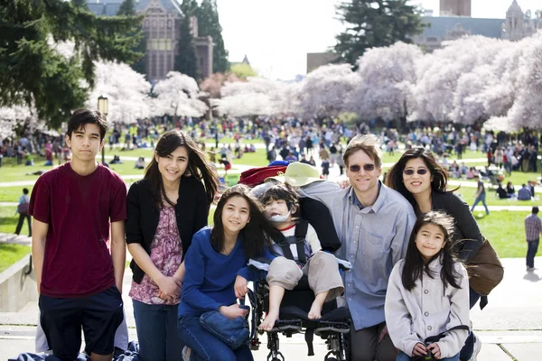 Family of seven in front of cherry blossom trees — Stock Photo, Image