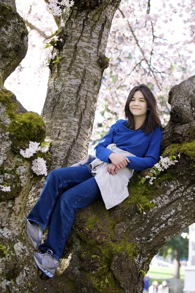 Junges Teenie-Mädchen sitzt in Kirschbaum in voller Blüte — Stockfoto