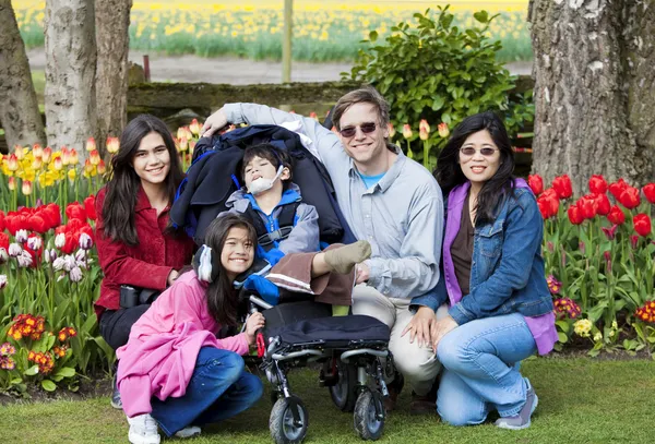 Семья с мальчиком-инвалидом в саду тюльпанов — стоковое фото